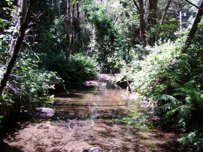 a nearby stream on the property
