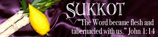 Sukkot banner