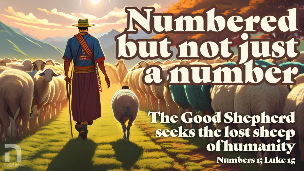 Numbered but not a number: The Good Shepherd seeks the lost sheep of humanity (Numbers 1; Luke 15). A South American shepherd walks a sheep through a flock toward a sunset over mountains in the distance.