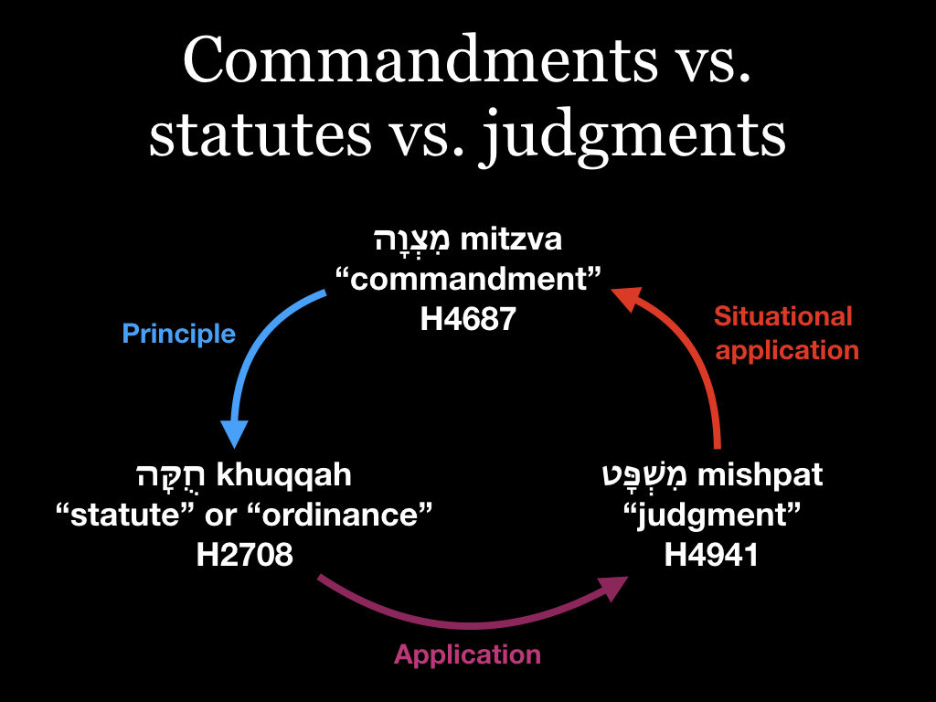 Commandments (mitzvot), statutes (khuqot) and judgments (mishpatim) are not synonyms, just as sins, transgressions and iniquities are not synonyms. (Illustration by Hallel Fellowship) 