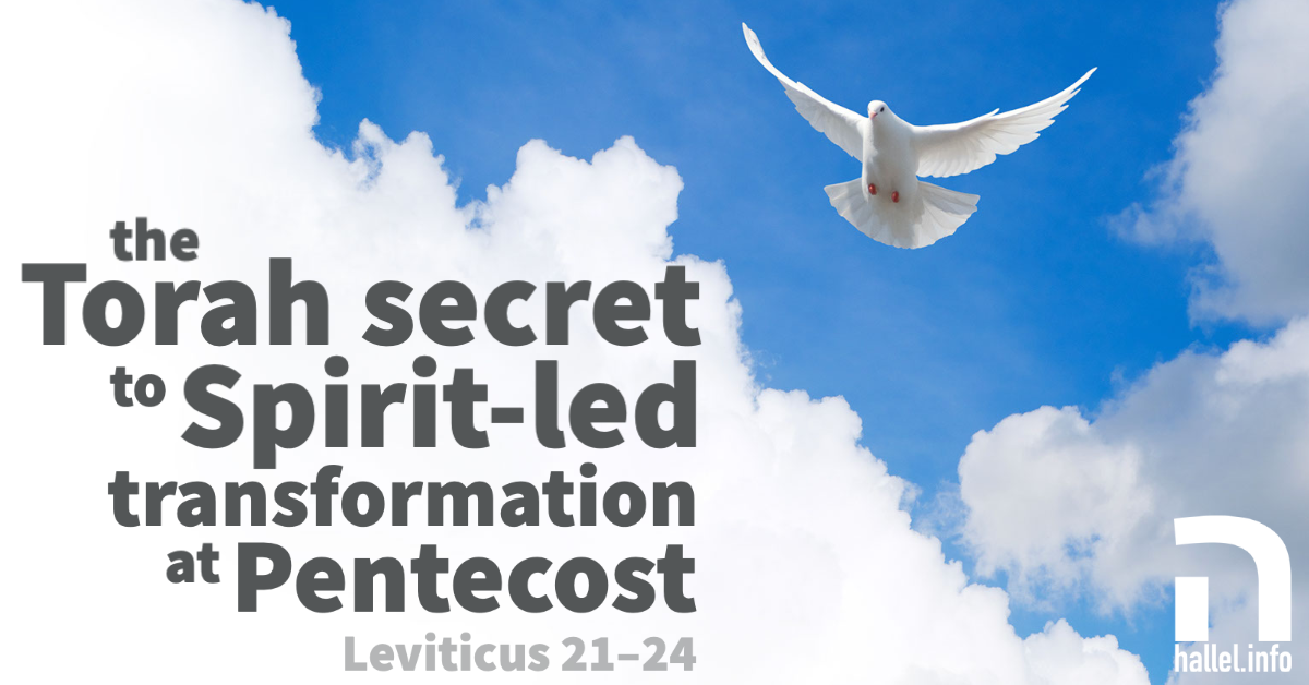 The Torah secret to Spirit-led transformation (Leviticus 21-24). Dove flies amid clouds in a blue sky.