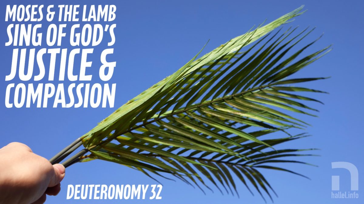 Moses and the Lamb sing of God’s justice and compassion (Deuteronomy 32). A hand holds a palm branch against a blue sky.