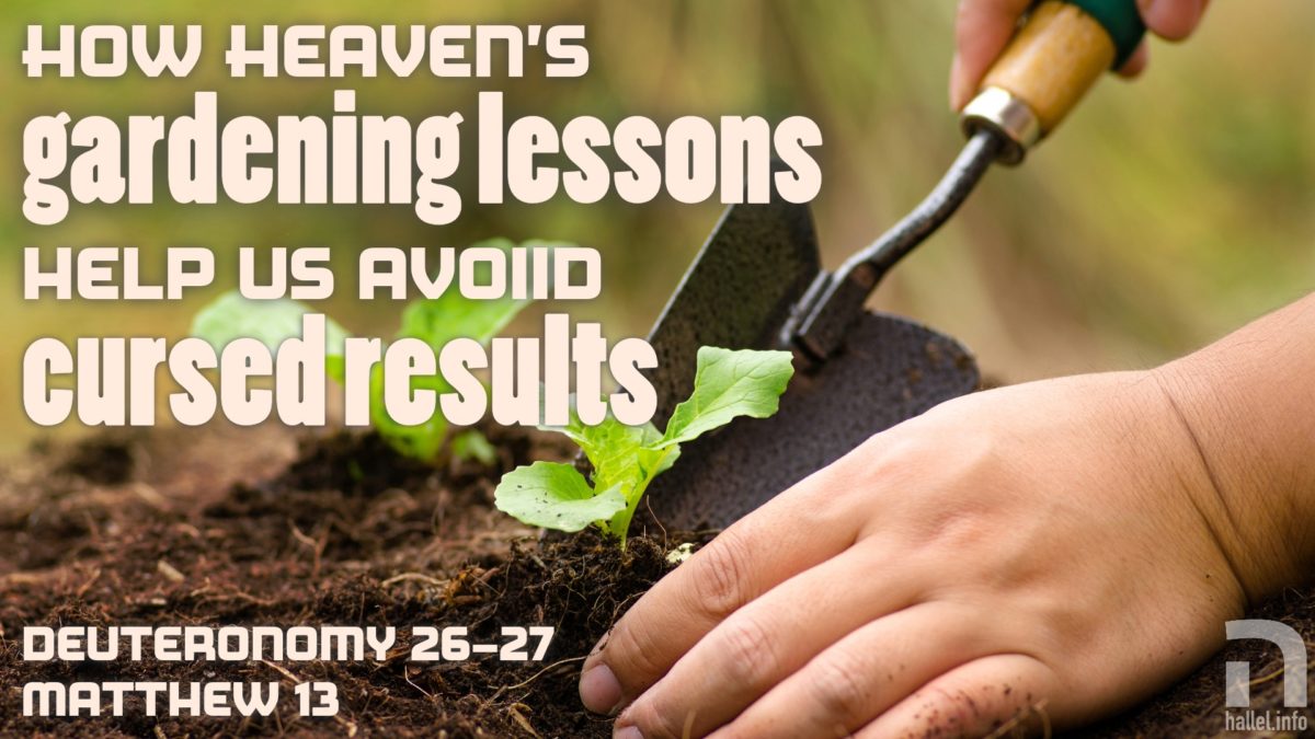 How Heaven's gardening lessons help us avoid cursed results (Deuteronomy 27-28; Matthew 13)
