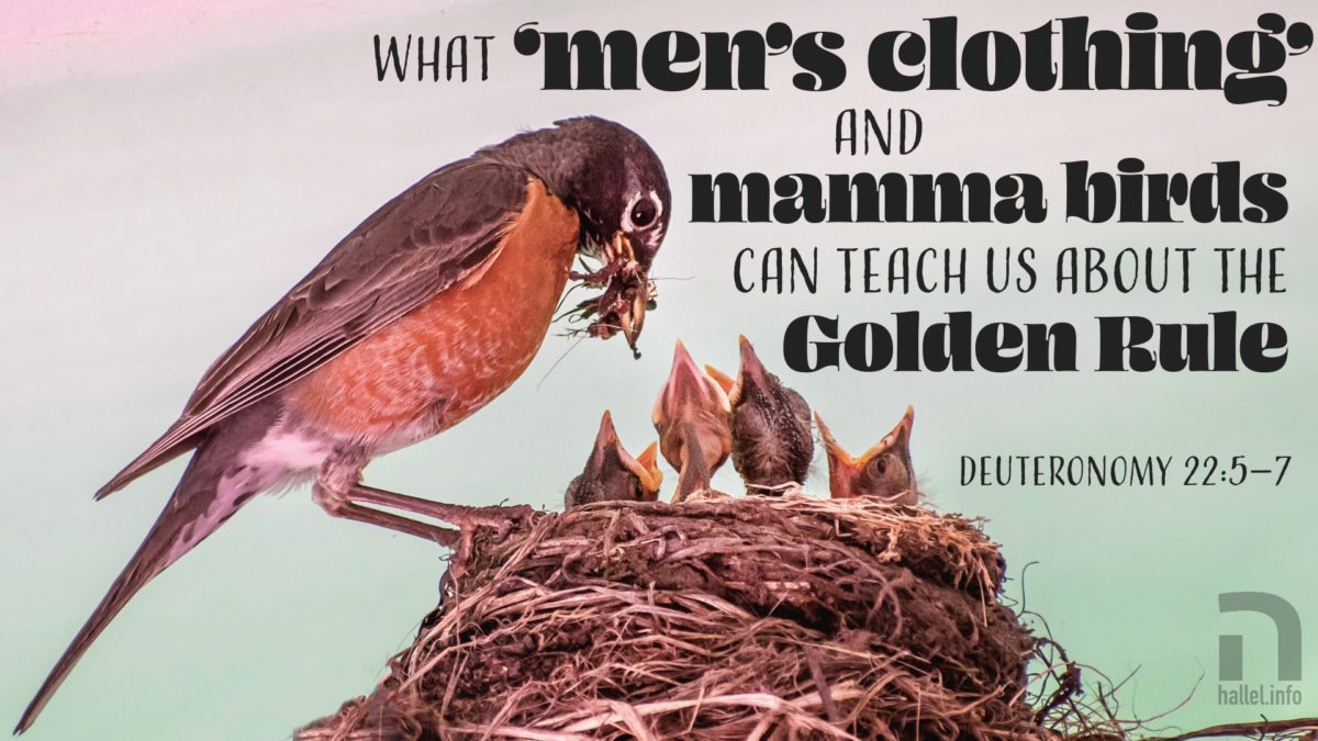 What 'men's clothing' and mamma birds can teach us about the Golden Rule (Deut. 22:5-7)