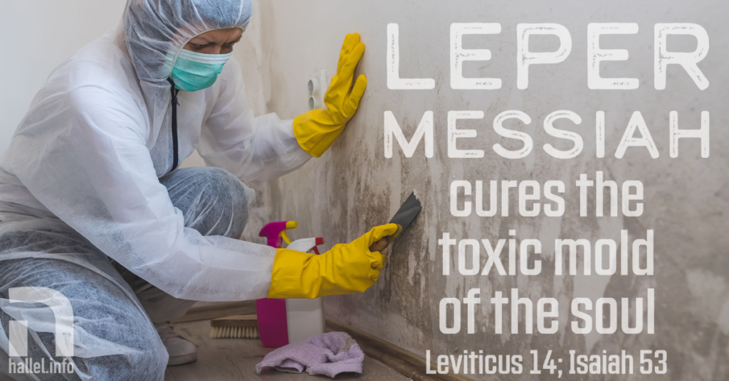 Leper Messiah cures the toxic mold of the soul (Leviticus 14; Isaiah 53). A worker in protective gear scrapes mold from the wall of a house (Adobe Stock image).