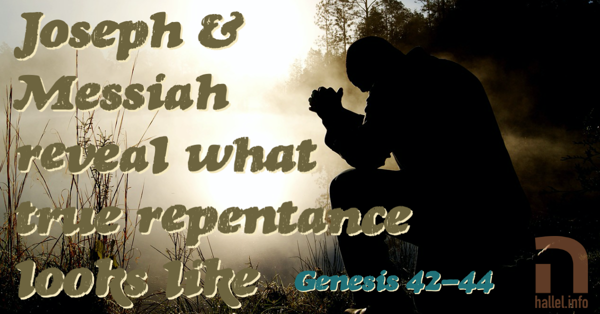 Joseph & Messiah reveal what true repentance looks like (Genesis 42-44)