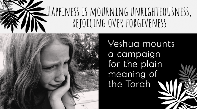 Happiness is mourning unrighteousness, rejoicing over forgiveness