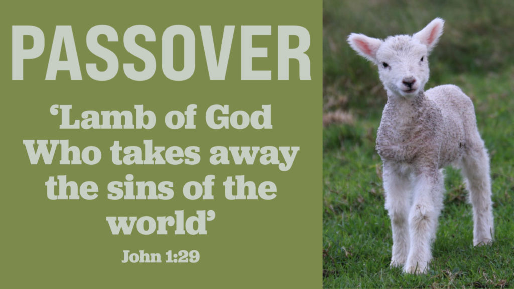 Passover: 'Lamb of God Who takes away the sins of the world'