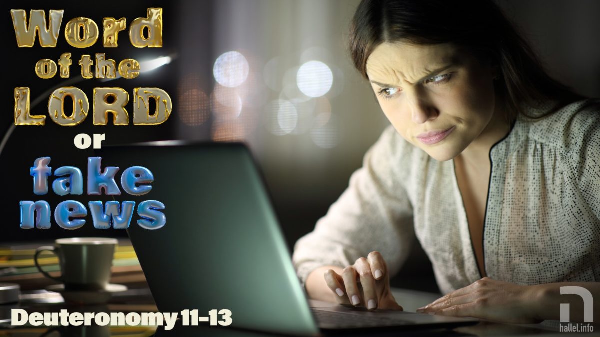 Word of the LORD or fake news? A woman lit by the screen of a laptop in a dark room, looks at the screen skeptically. (Deuteronomy 11-13)