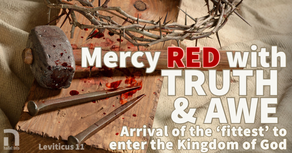 Mercy red with truth and awe: Arrival of the 'fittest' to enter the Kingdom of God (Leviticus 11)