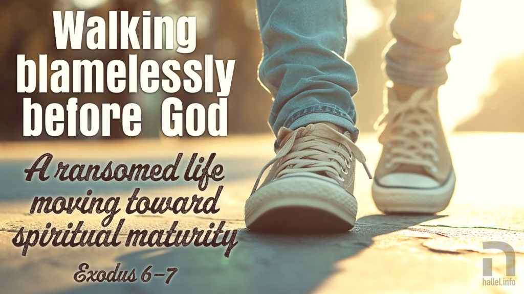 Walking blamelessly before God: A ransomed life moving toward spiritual maturity (Exodus 6-9). The feet of a person wearing blue jeans and sneakers are seen walking on a road in late afternoon sun.