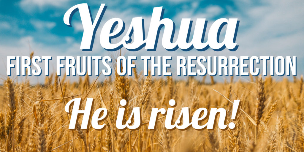Yeshua - First fruits of the resurrection - He is risen!