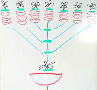 Lessons From The Menorah Hallel Fellowship